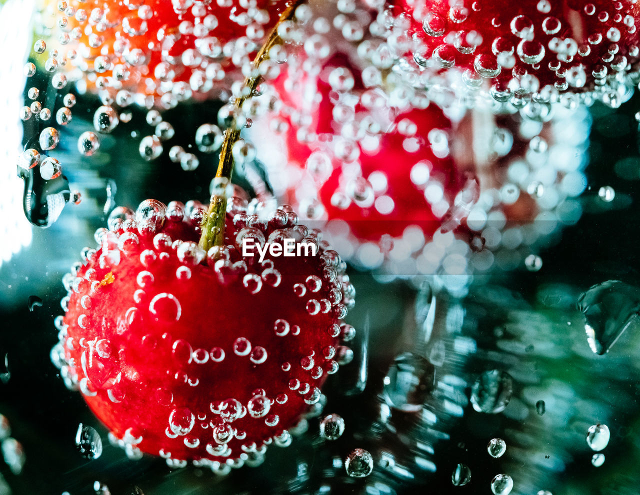 Close-up of christmas decoration