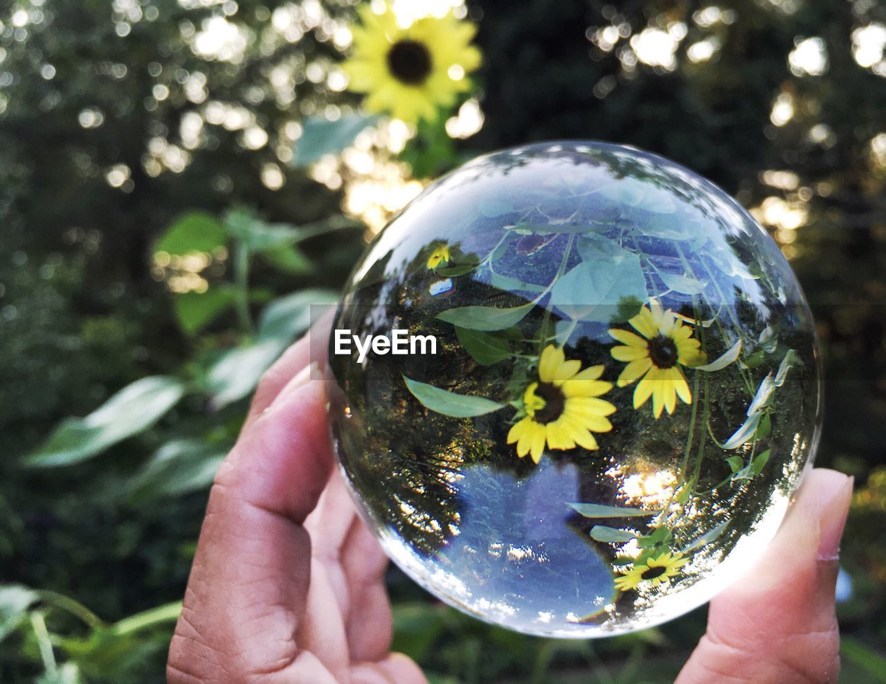 Cropped image of hand holding crystal ball