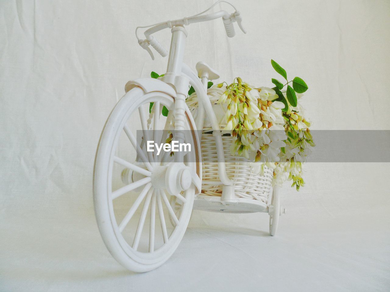 plant, white, wheel, no people, land vehicle, indoors, flower, vehicle, nature, flowering plant, wall - building feature, bicycle, studio shot, freshness, green, transportation