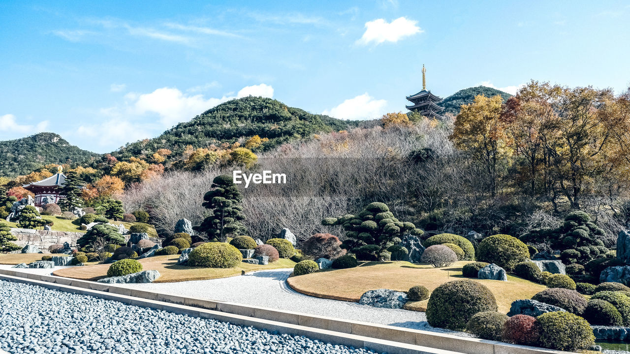 PANORAMIC VIEW OF PLANTS AND TREES AGAINST SKY