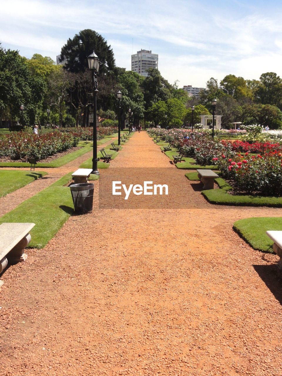 Pathway amidst plants in park on sunny day