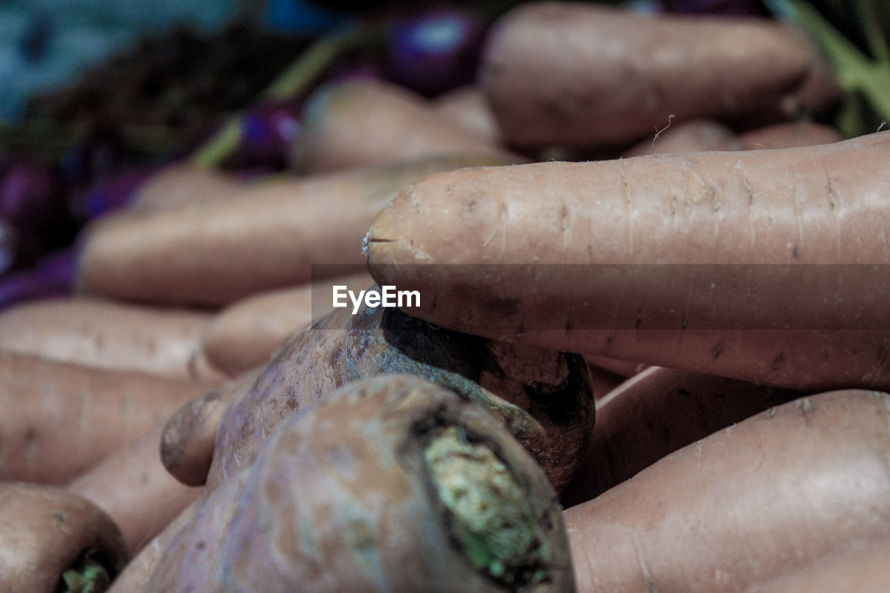 Close-up of carrots for sale in market