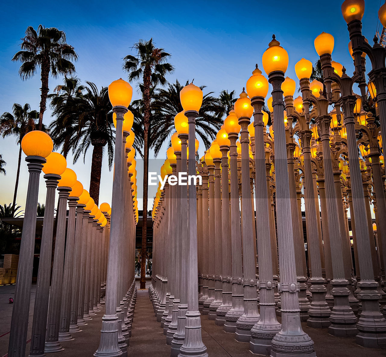 Street view of urban light. forest of city streetlights at lacma. museums of art