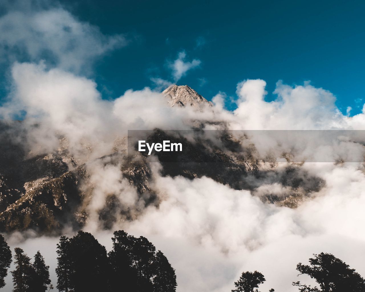 Low angle view of clouds and trees against sky