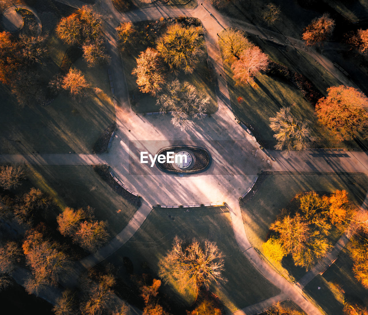 High angle view of trees during autumn