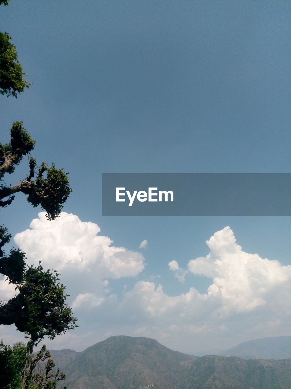 LOW ANGLE VIEW OF TREE MOUNTAIN AGAINST SKY