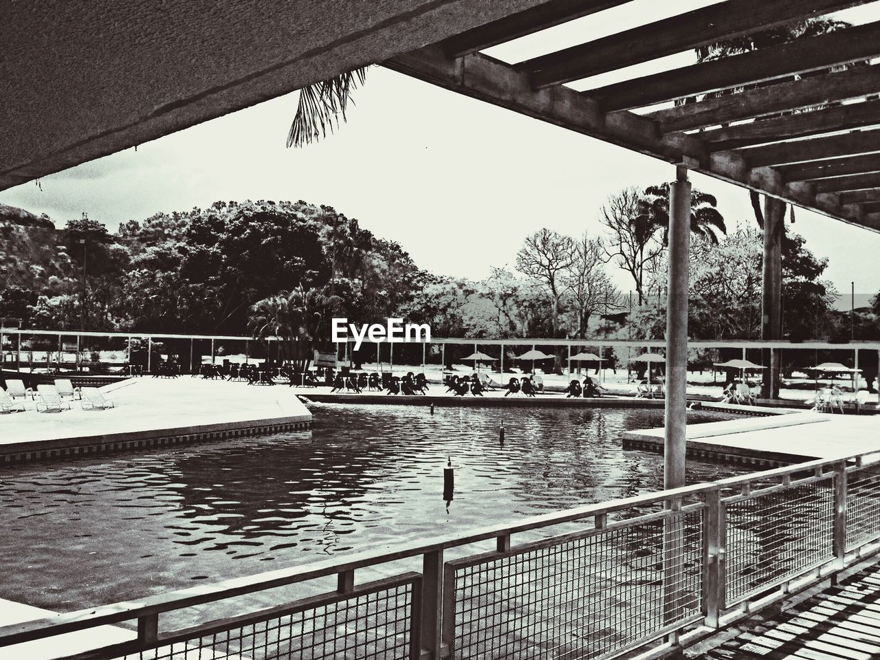 VIEW OF RAILING WITH TREES IN BACKGROUND