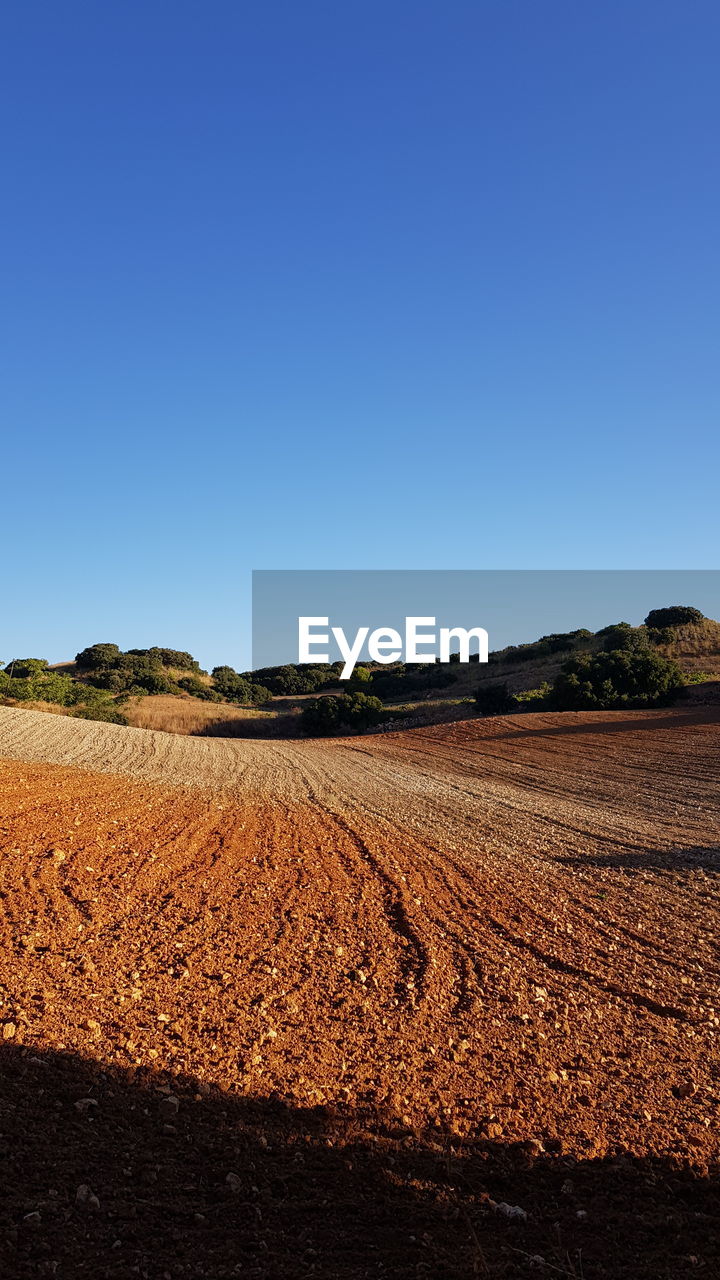 SCENIC VIEW OF FIELD AGAINST CLEAR SKY