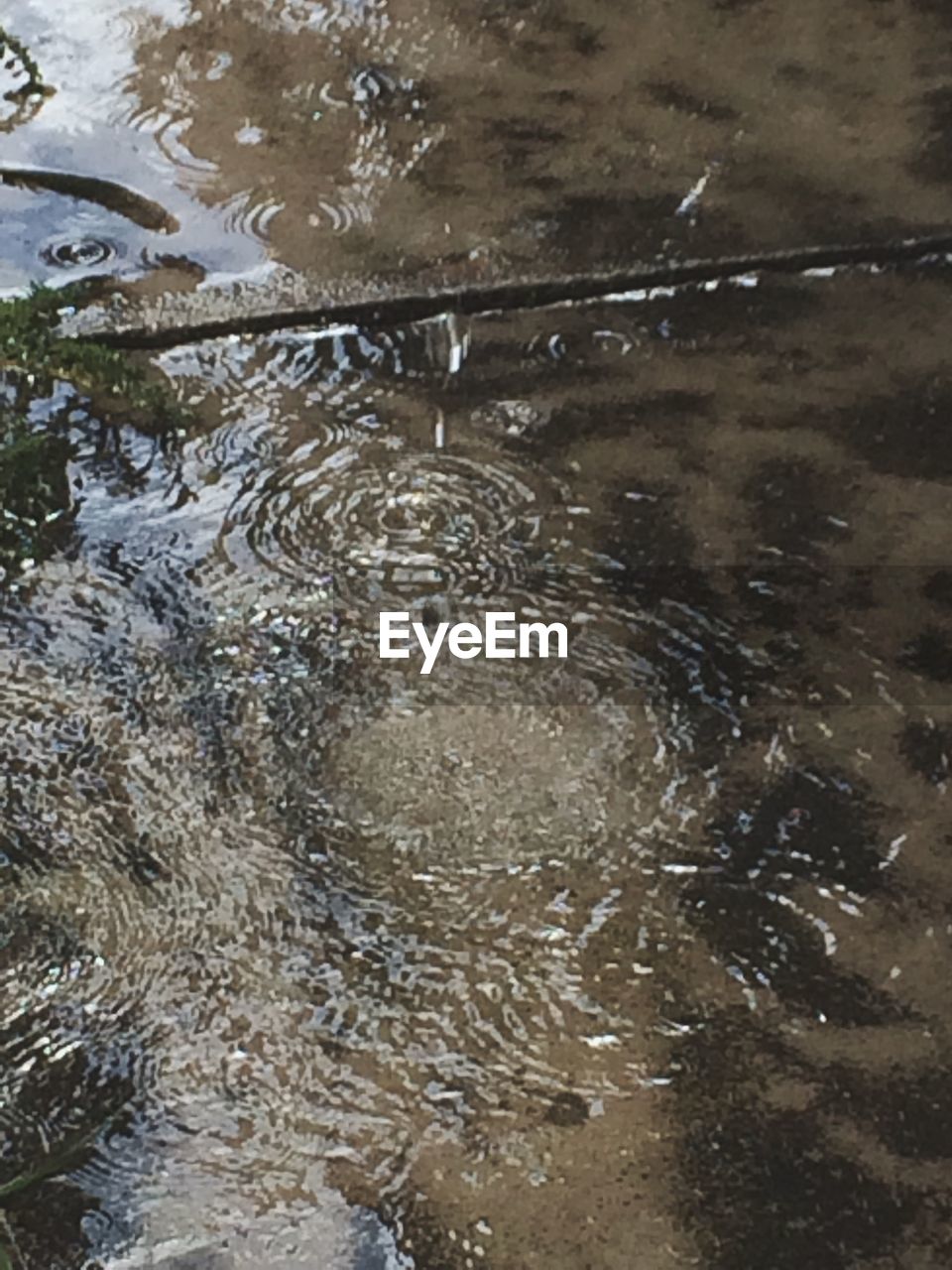 FULL FRAME SHOT OF WATER IN SHALLOW