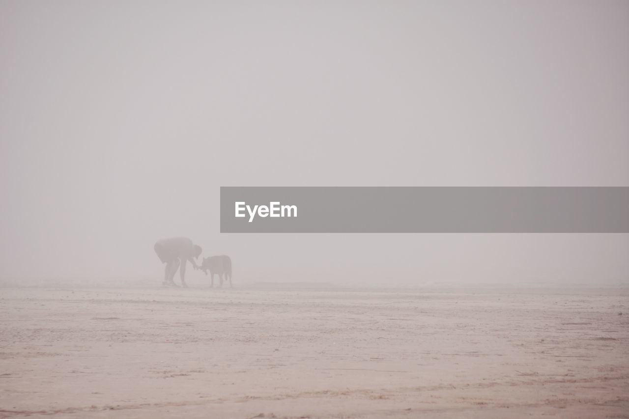 Silhouette man with dog standing on field against sky during foggy weather