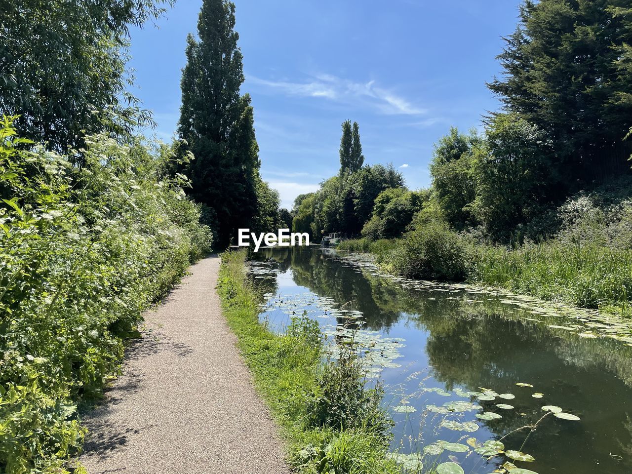 plant, tree, water, river, nature, sky, beauty in nature, waterway, tranquility, body of water, growth, no people, stream, scenics - nature, green, day, tranquil scene, landscape, footpath, sunlight, flower, outdoors, environment, non-urban scene, land, garden, pond, forest, reflection, woodland, cloud, wilderness, travel destinations, autumn, watercourse
