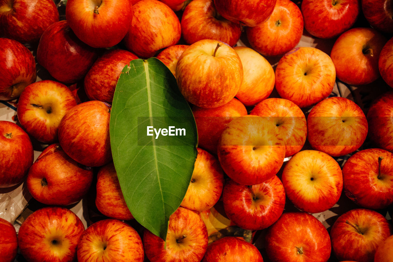 FULL FRAME SHOT OF FRESH FRUITS