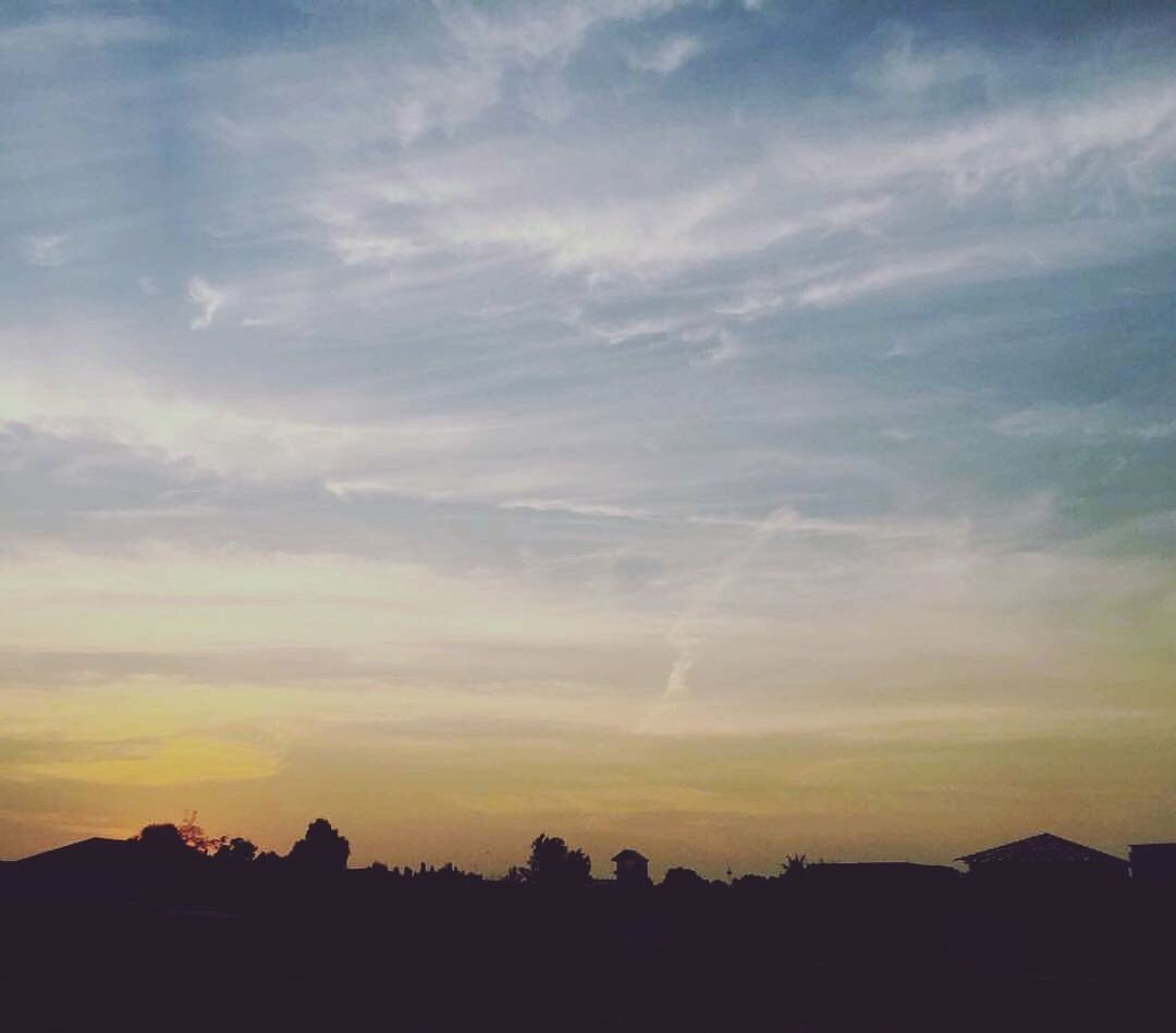 SILHOUETTE TREES AGAINST DRAMATIC SKY DURING SUNSET