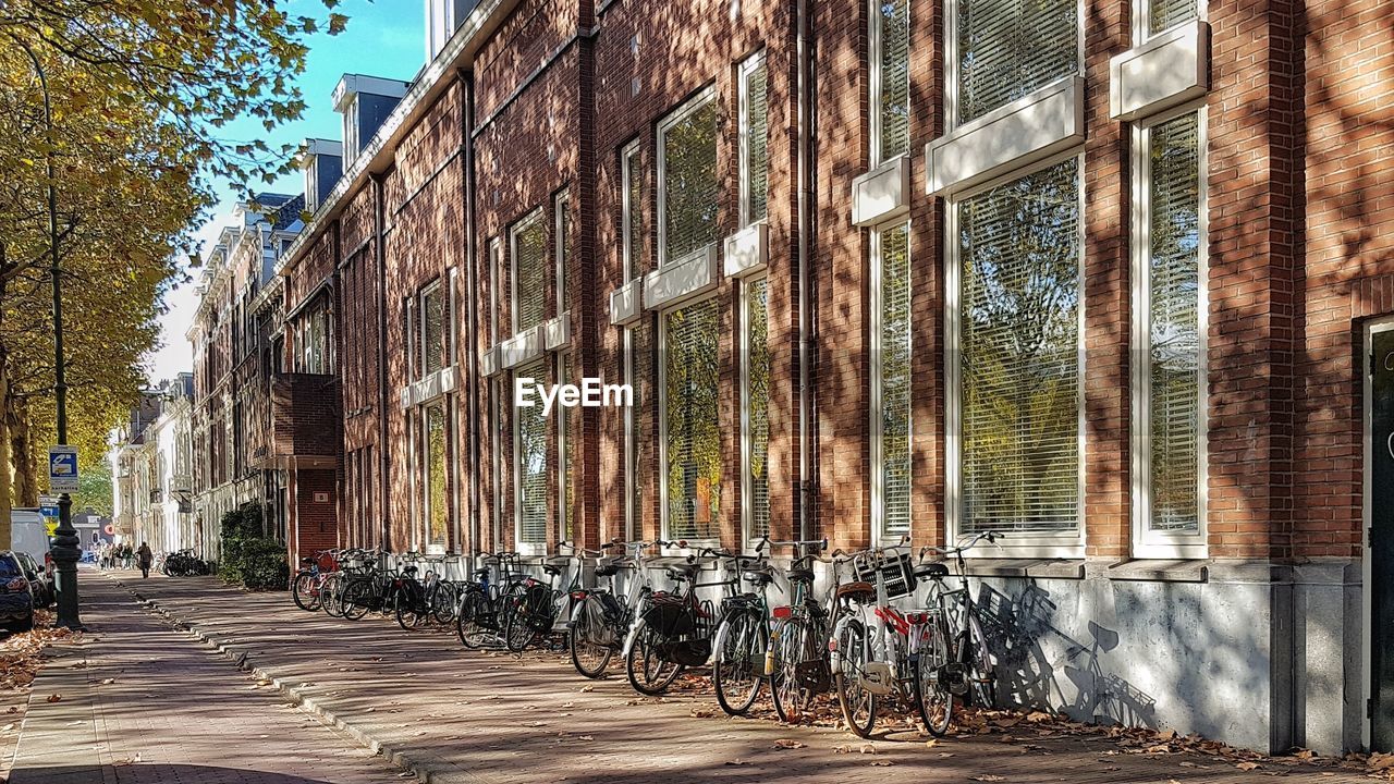 Sunny autumn street with bicycles amidst buildings in city