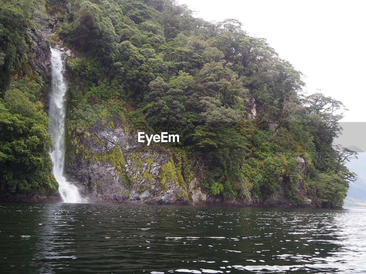 WATERFALL IN FOREST