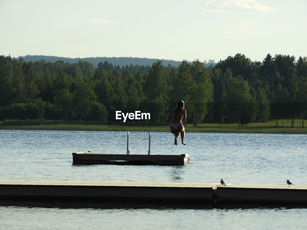 Rear view of woman jumping in lake against trees during sunset