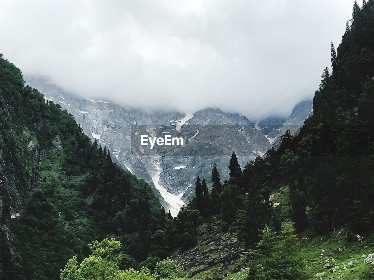 Scenic view of forest against sky during winter