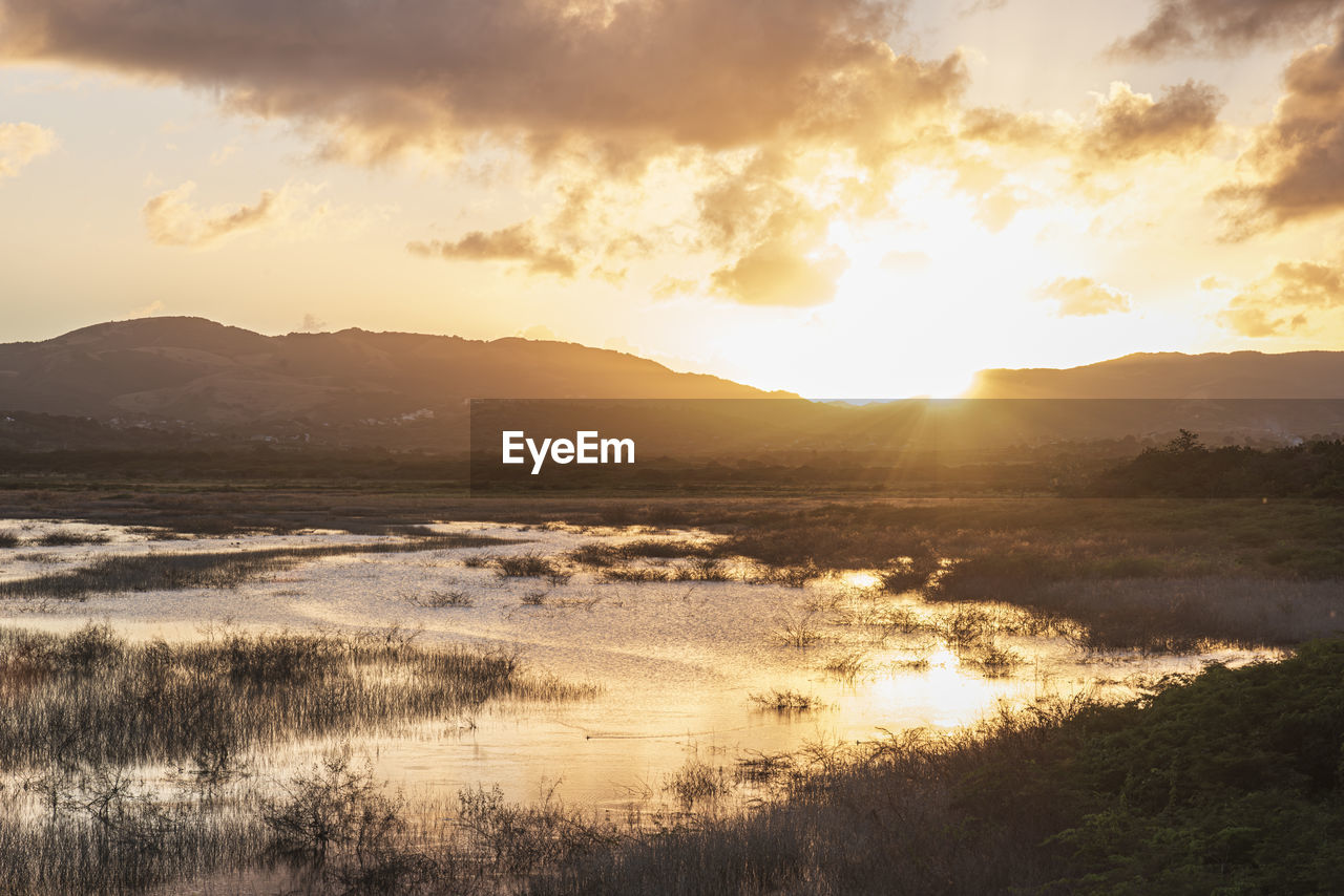 sky, environment, water, scenics - nature, beauty in nature, morning, landscape, nature, cloud, land, mountain, sun, sunlight, tranquility, sunrise, dawn, tranquil scene, no people, sunbeam, reflection, sea, plant, dramatic sky, travel, travel destinations, horizon, outdoors, mountain range, grass, fog, beach, idyllic, non-urban scene, tourism, gold, tree, coast, back lit, atmospheric mood, shore, twilight, summer, light - natural phenomenon, forest