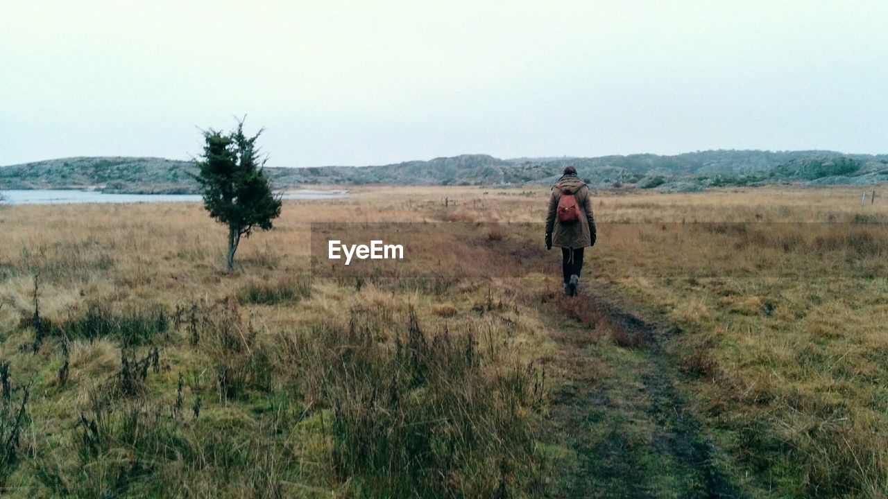 Scenic view of grassy field against sky, single person walking