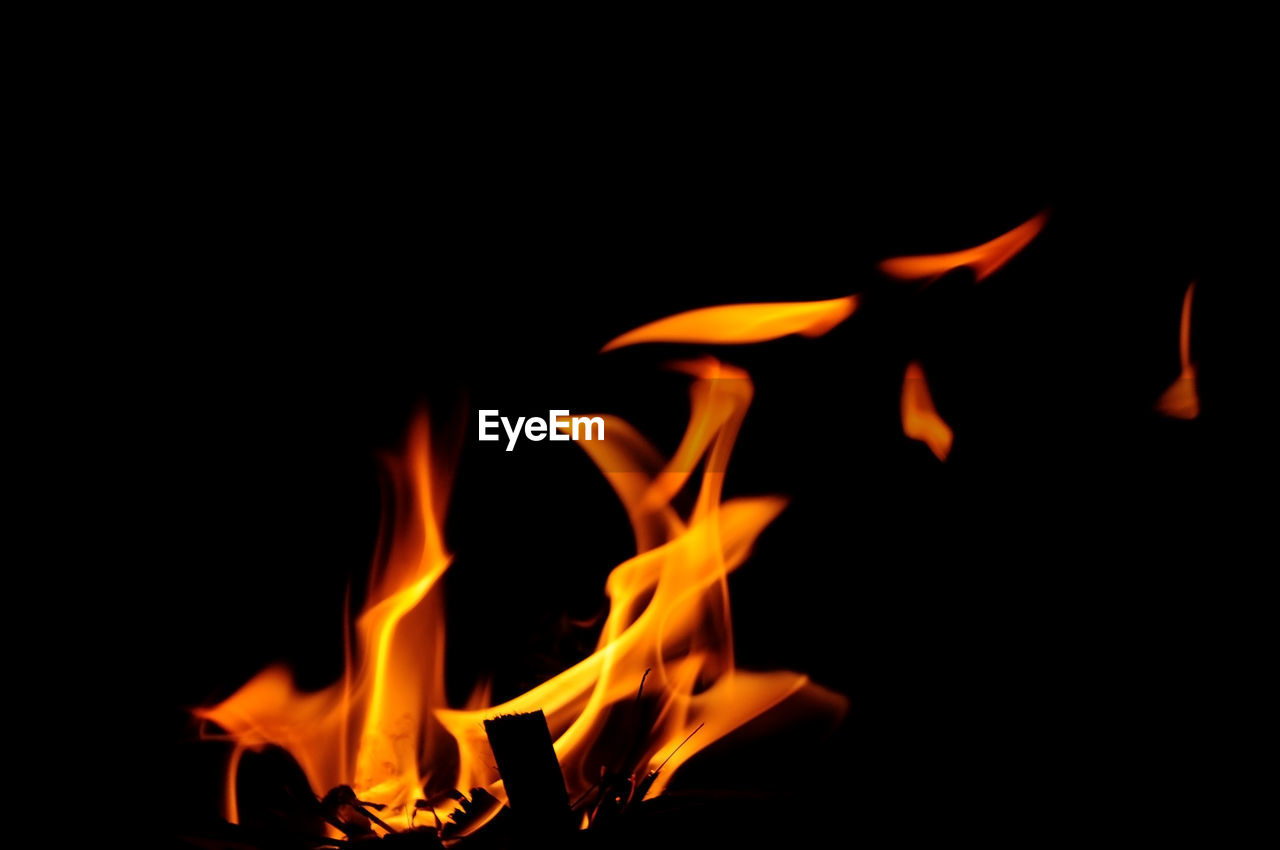 Close-up of bonfire at night