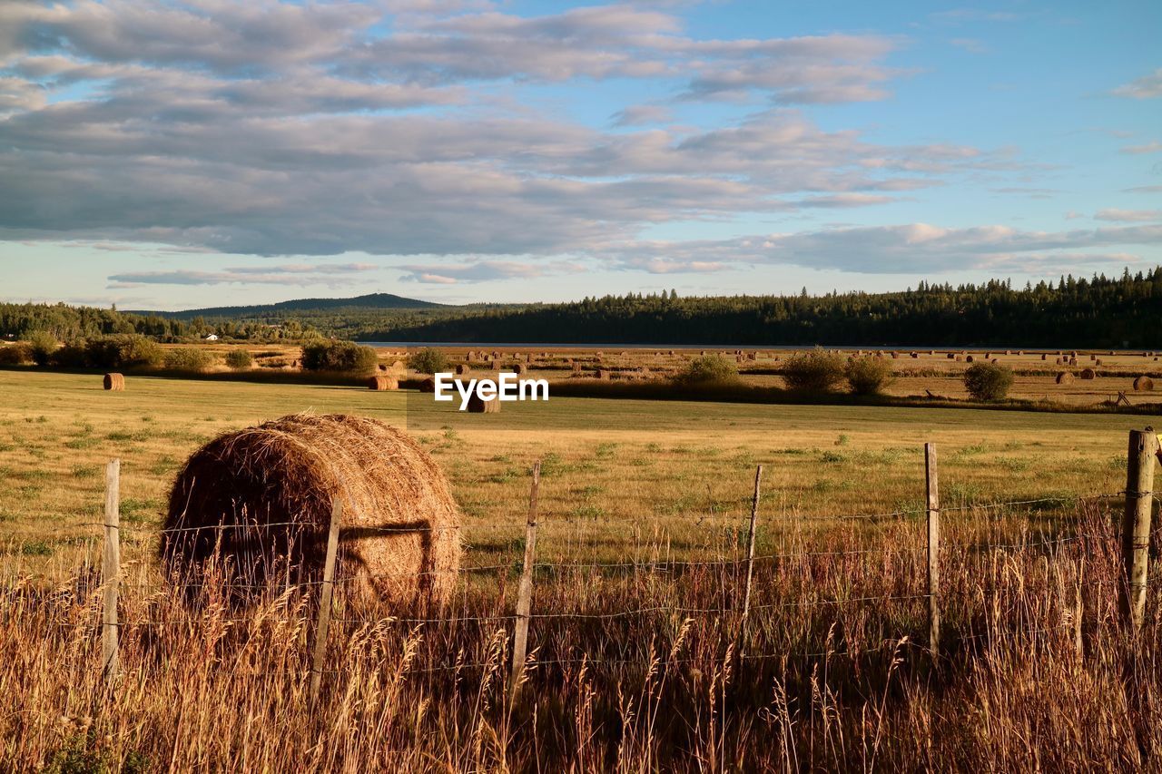 Hay bales on field against sky