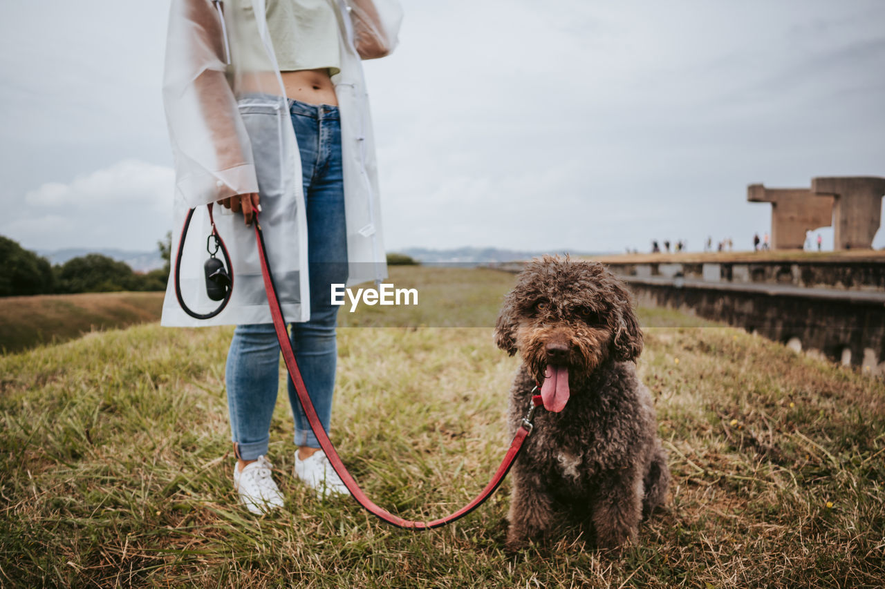 Low section of person standing with dog