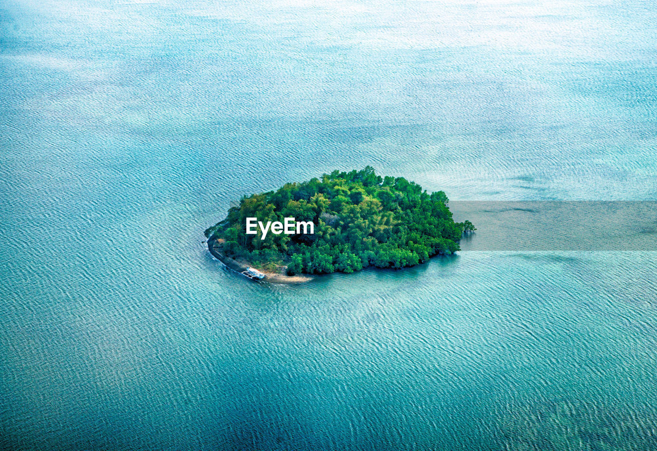 High angle view of plants in sea