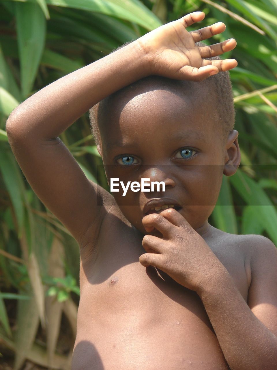 Portrait of shirtless boy standing at farm