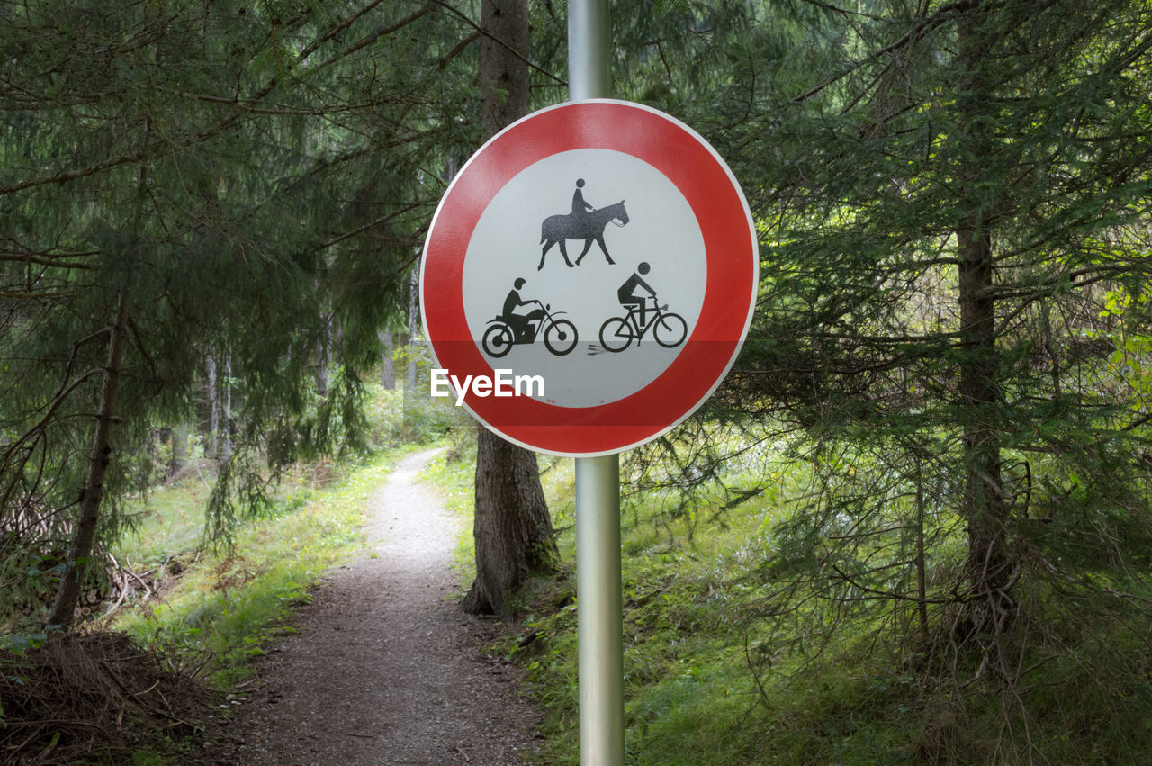 ROAD SIGN ON TREE TRUNK