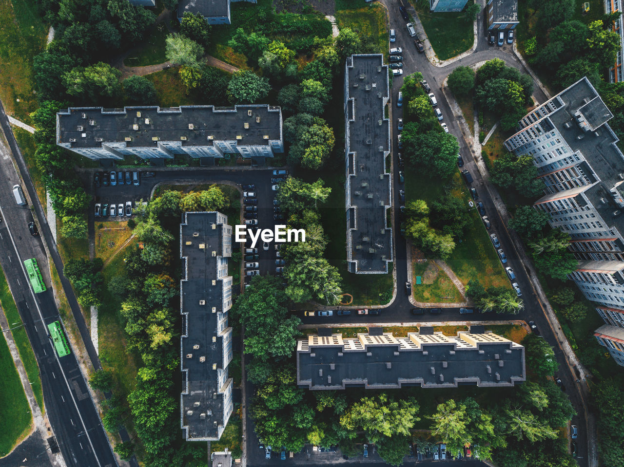 Aerial view of buildings and trees in city