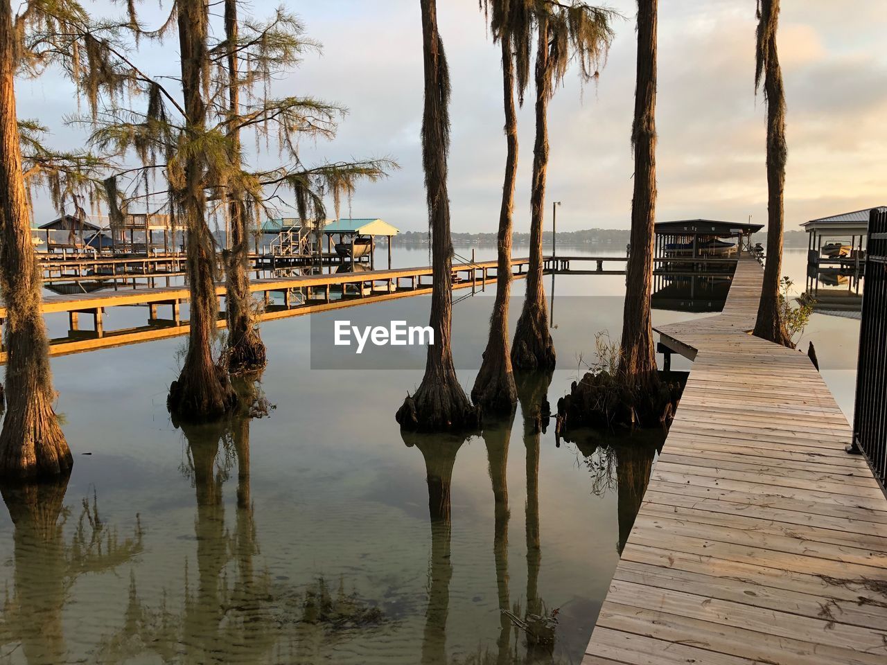 PALM TREES ON PIER AGAINST SKY