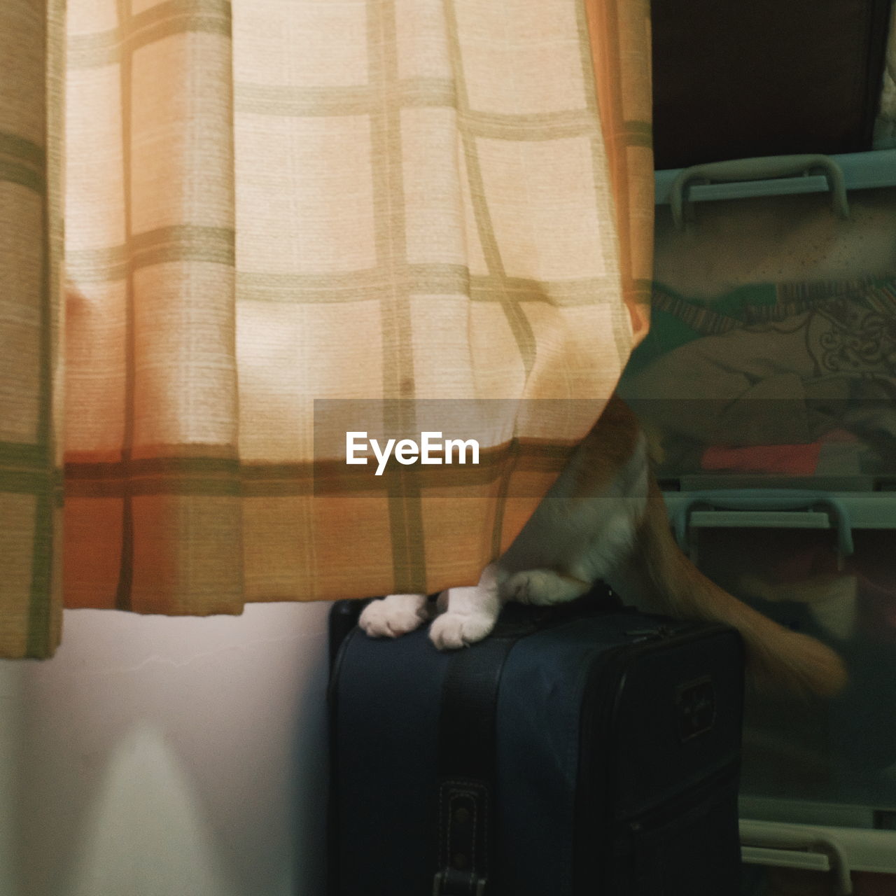 CLOSE-UP OF MAN STANDING ON CURTAIN