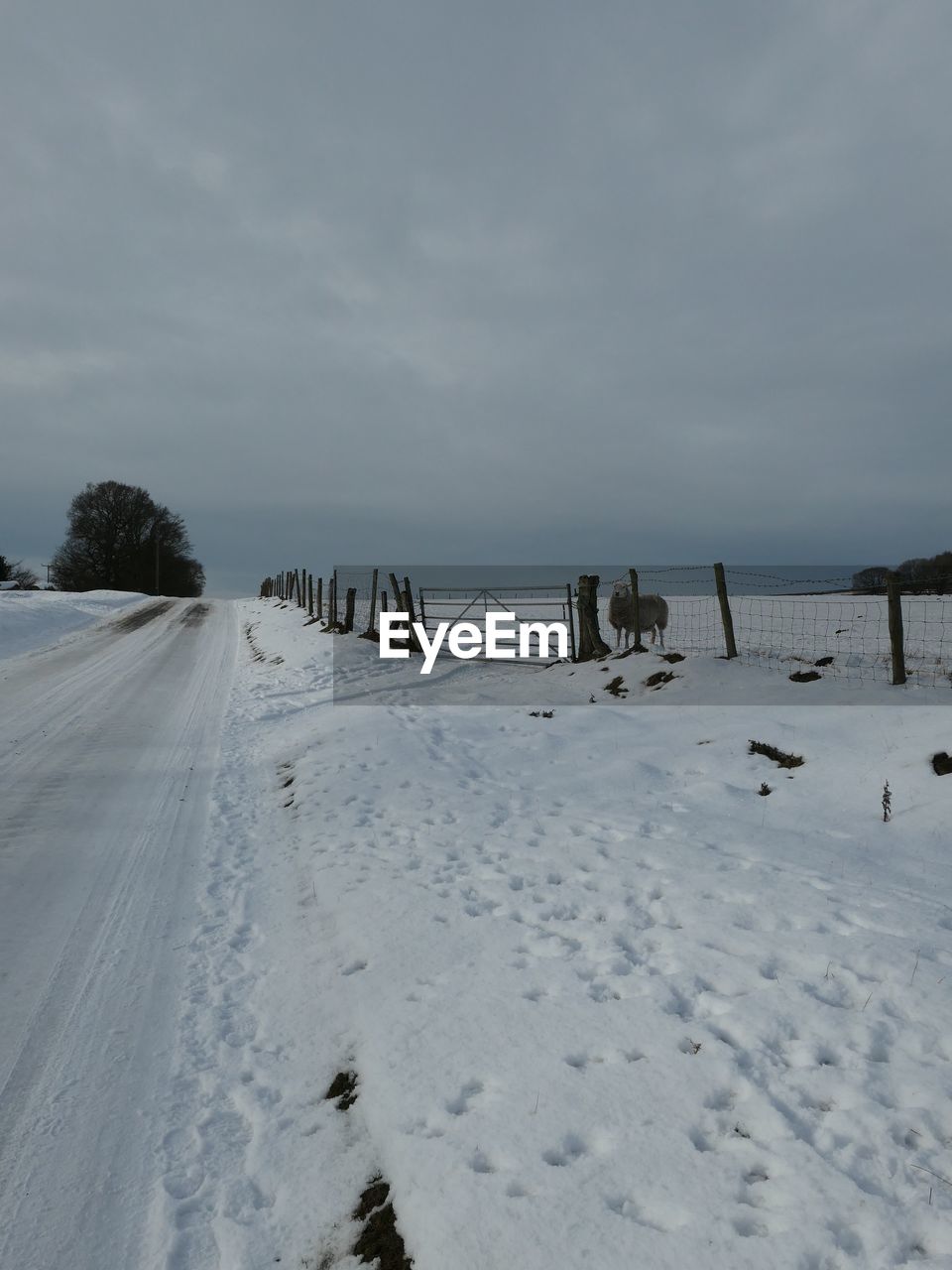 SNOW COVERED FIELD AGAINST SKY