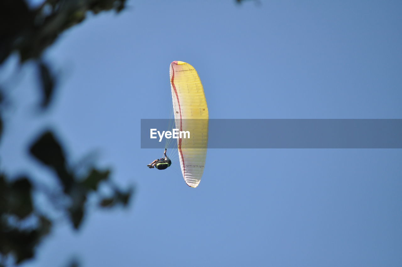 LOW ANGLE VIEW OF KITE AGAINST SKY