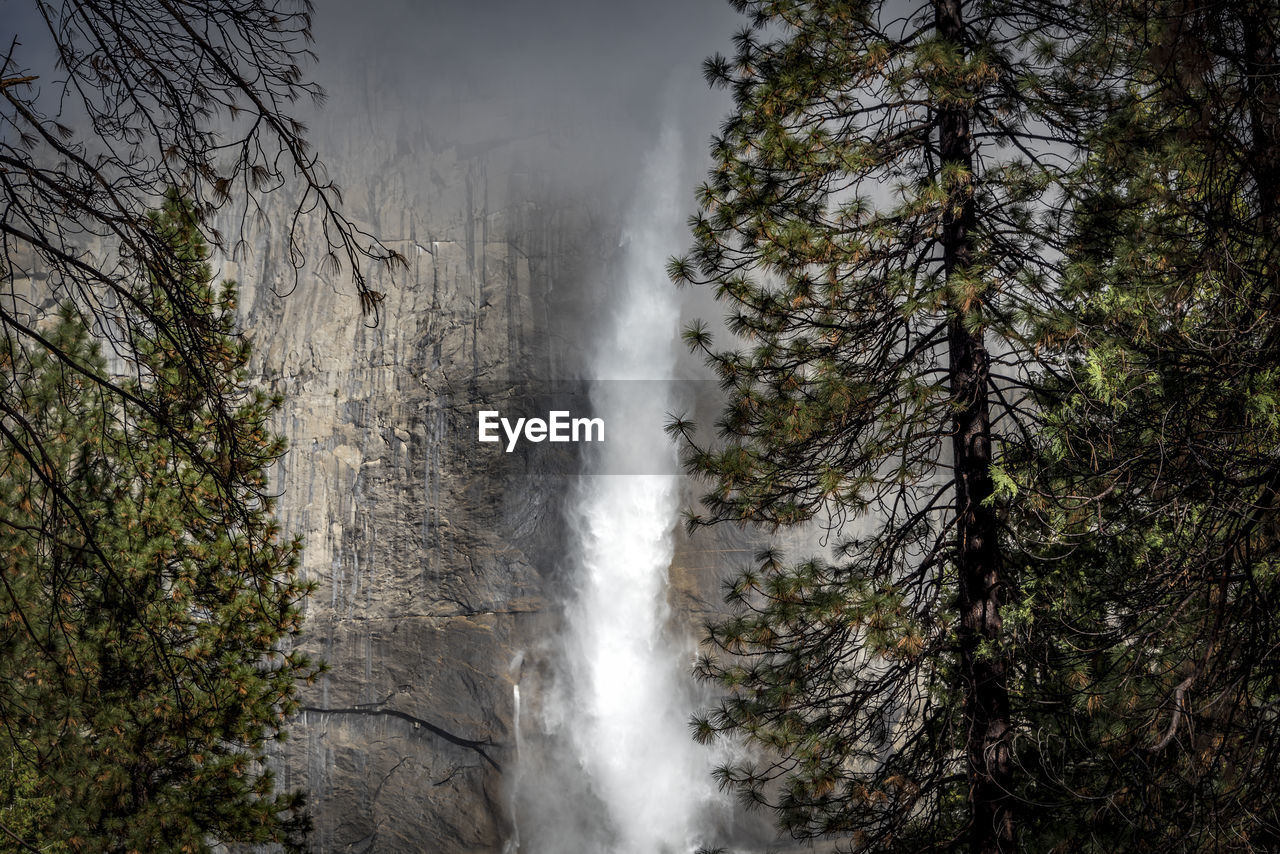 Scenic view of waterfall in forest against sky