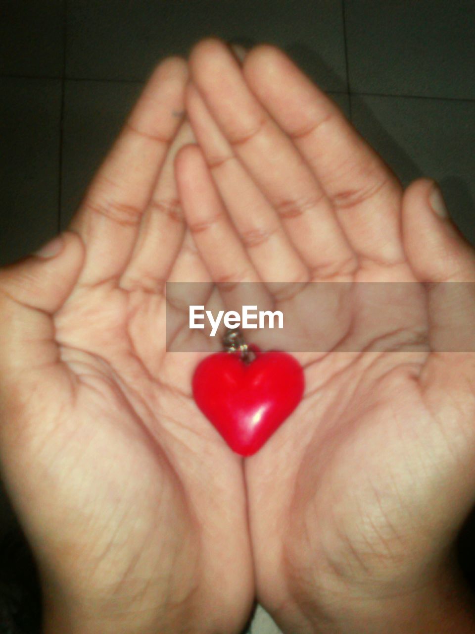 CLOSE-UP OF HAND HOLDING HEART SHAPE WITH RED BERRIES