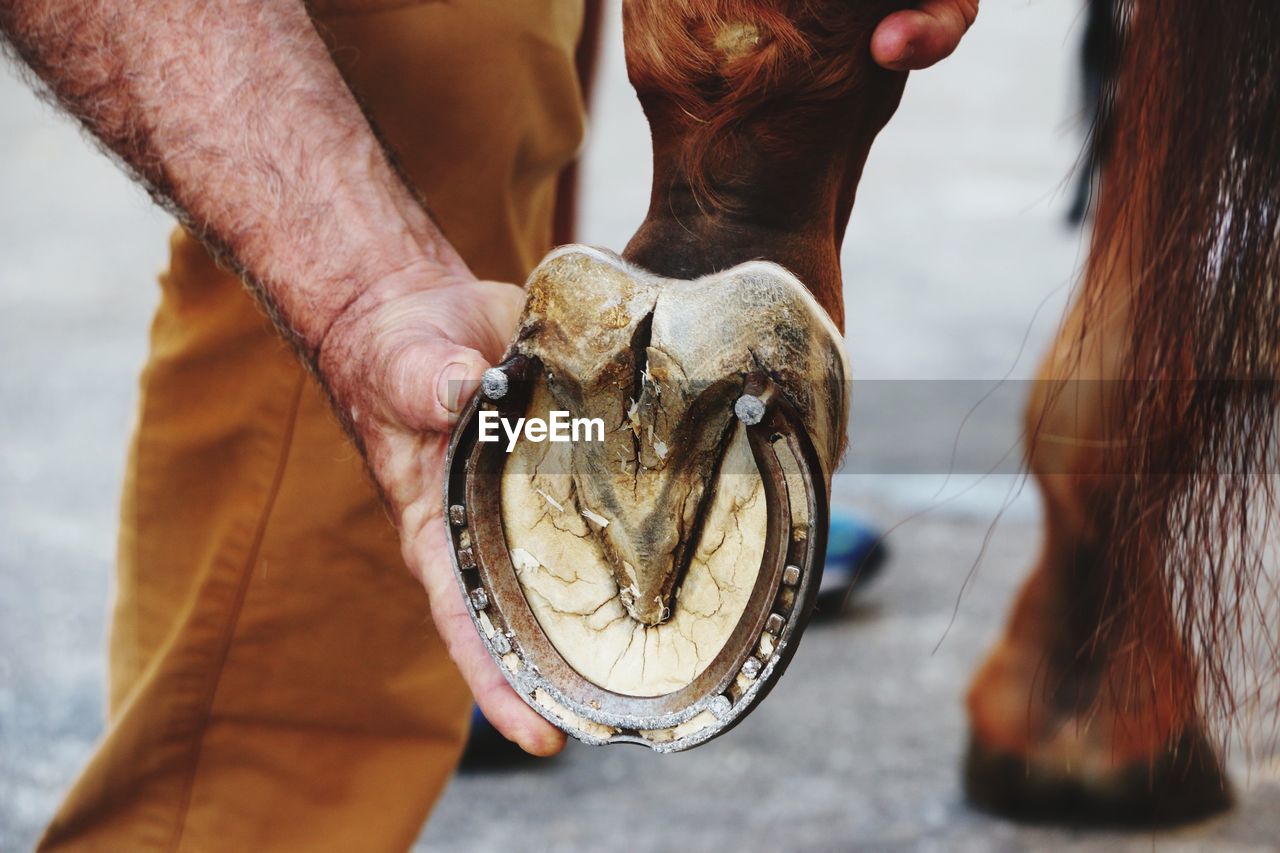 CLOSE-UP OF HUMAN HAND HOLDING FISH