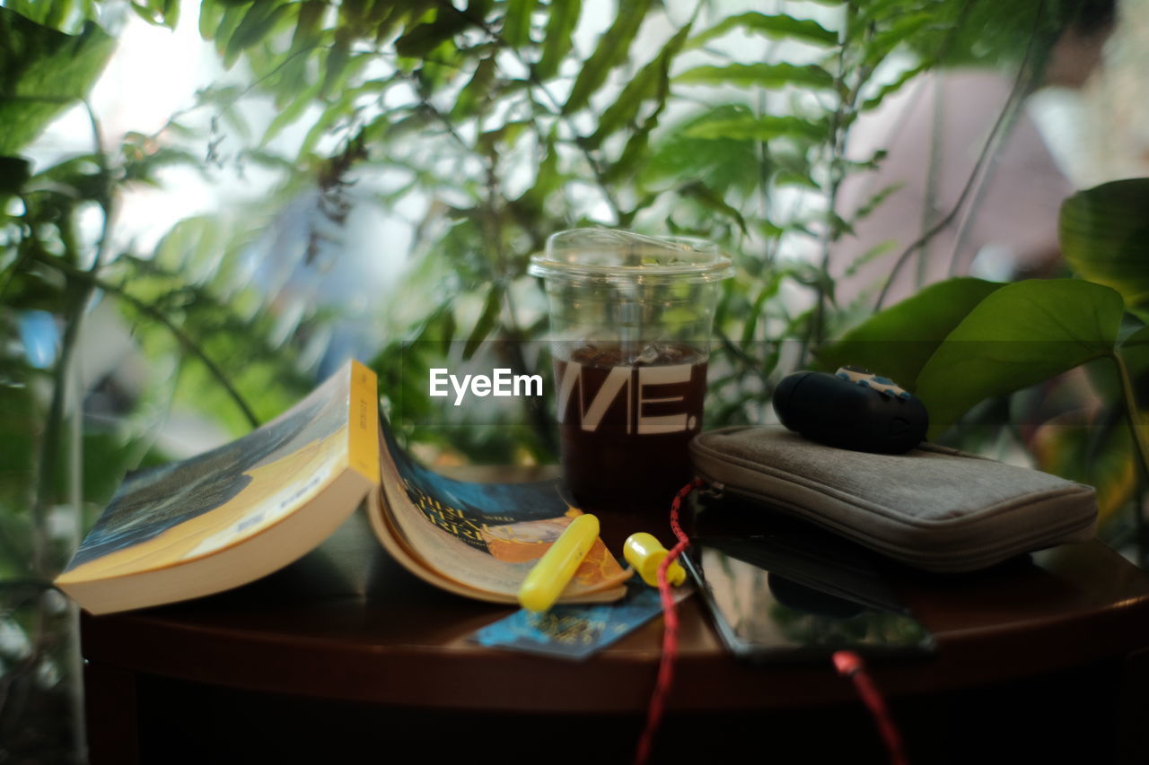 plant, green, table, nature, tree, leaf, no people, book, plant part, publication, food and drink, indoors, yellow, day, focus on foreground, flower, growth, potted plant, furniture, drink, absence
