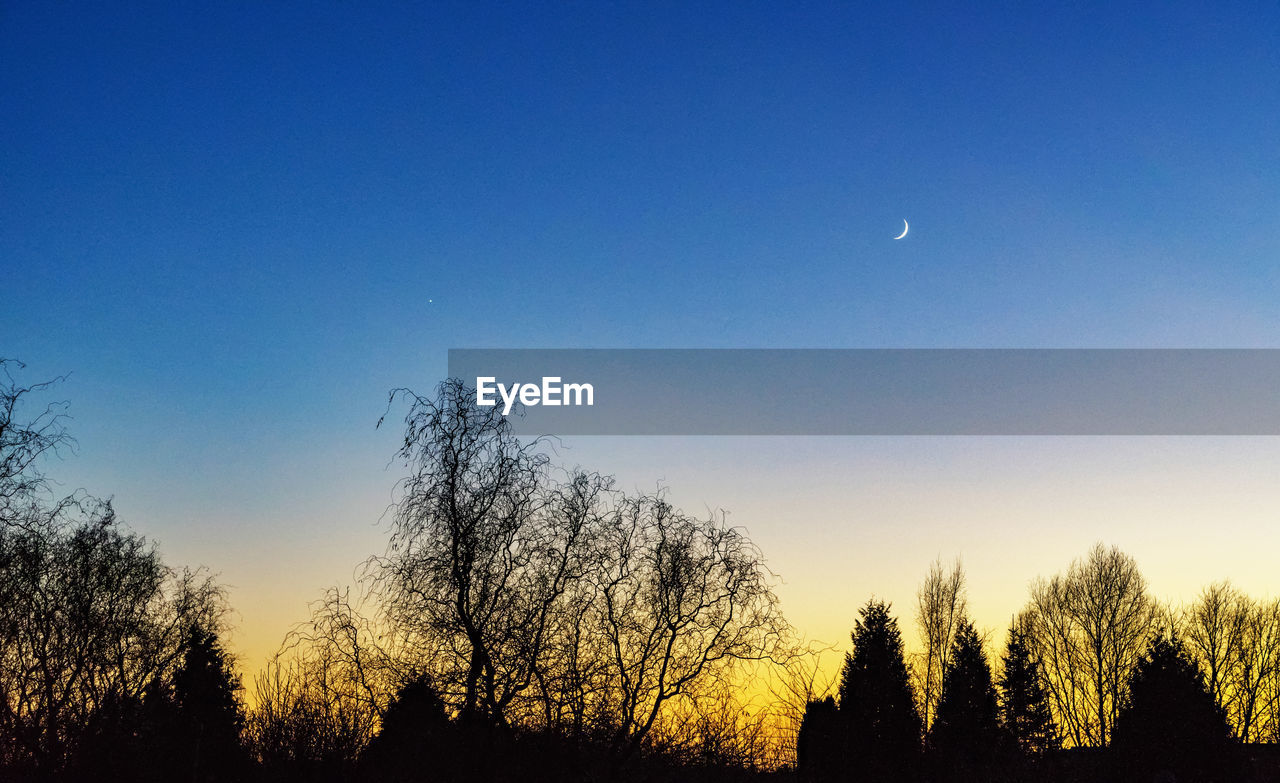 SILHOUETTE OF TREES AGAINST SKY AT SUNSET