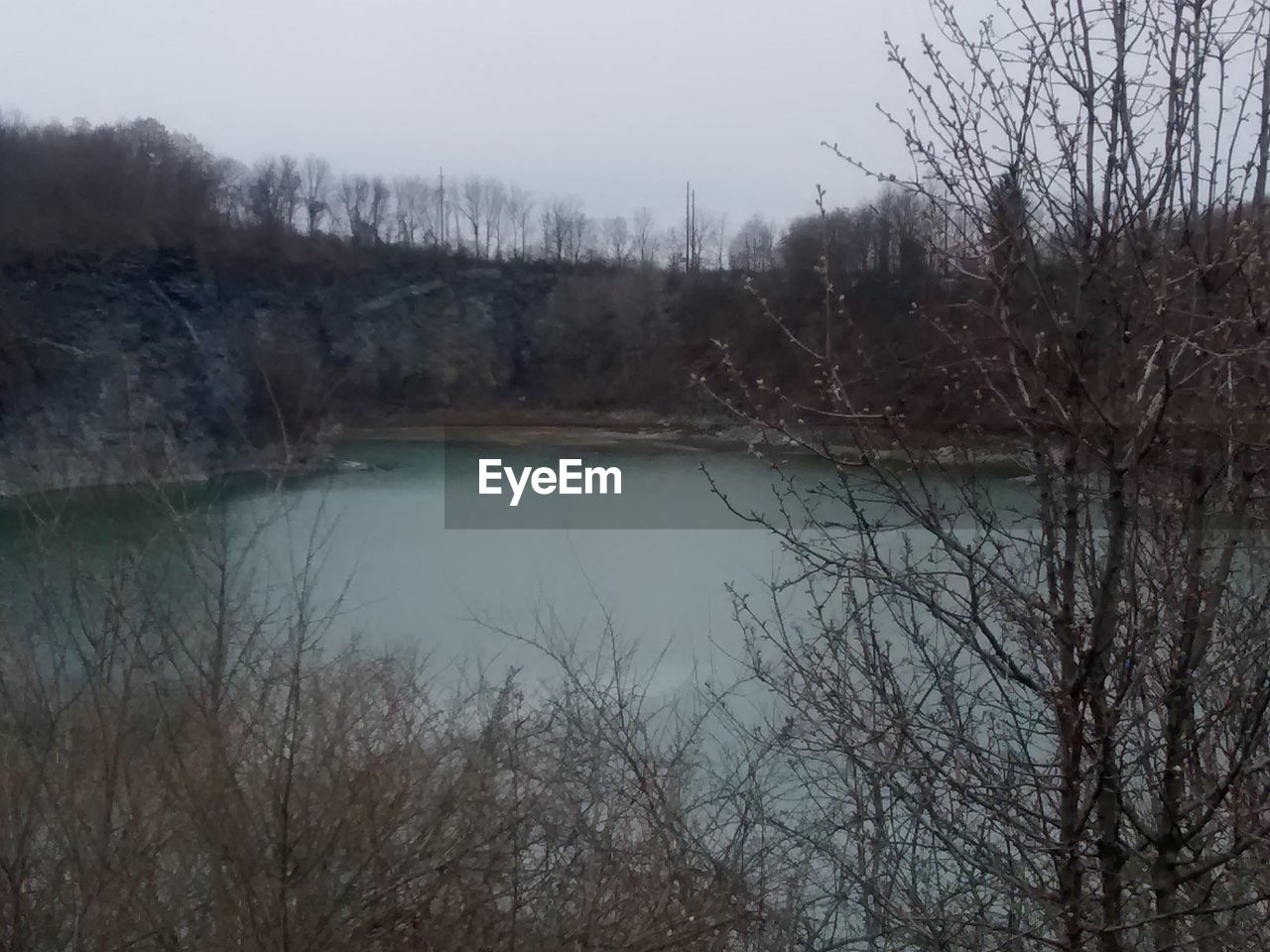 REFLECTION OF TREES IN WATER