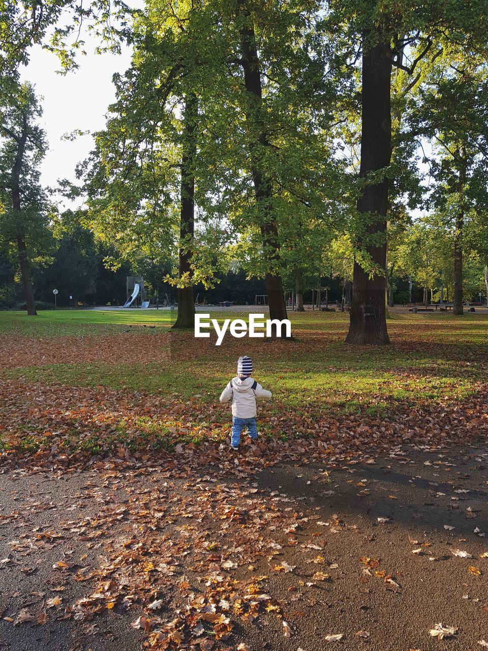 Rear view of child walking in park during autumn