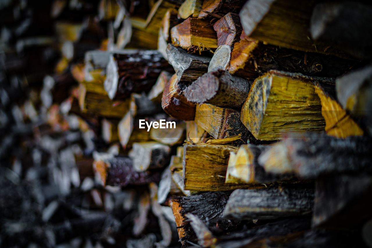 FULL FRAME SHOT OF LOGS IN WOOD