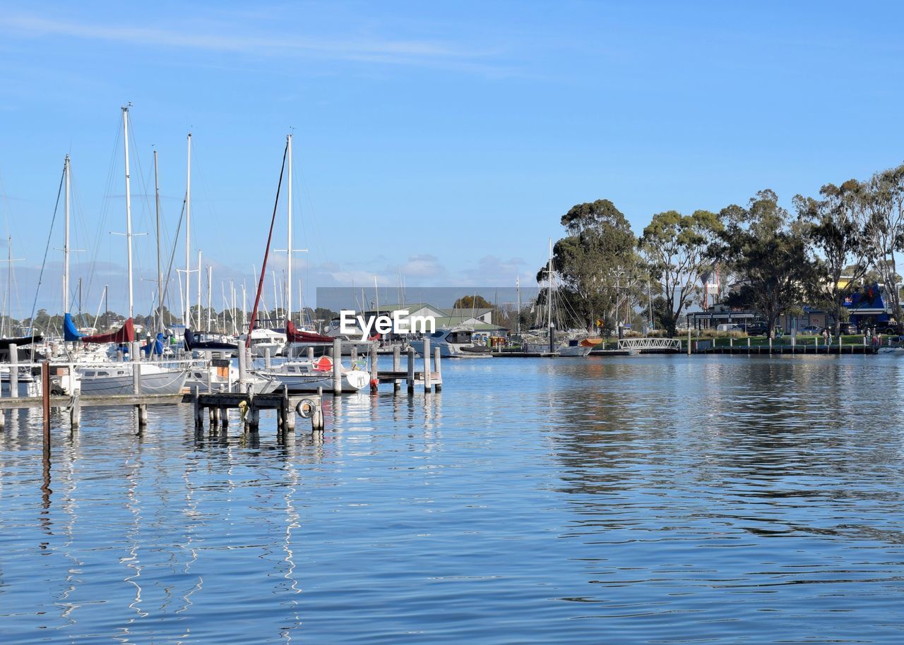 Sailboats moored in harbor against clear sky