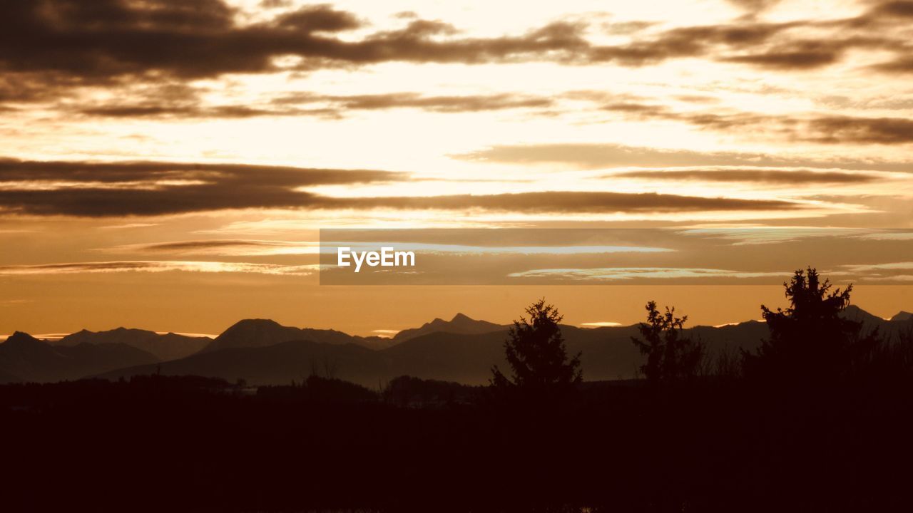 SCENIC VIEW OF SILHOUETTE TREES AGAINST SKY DURING SUNSET