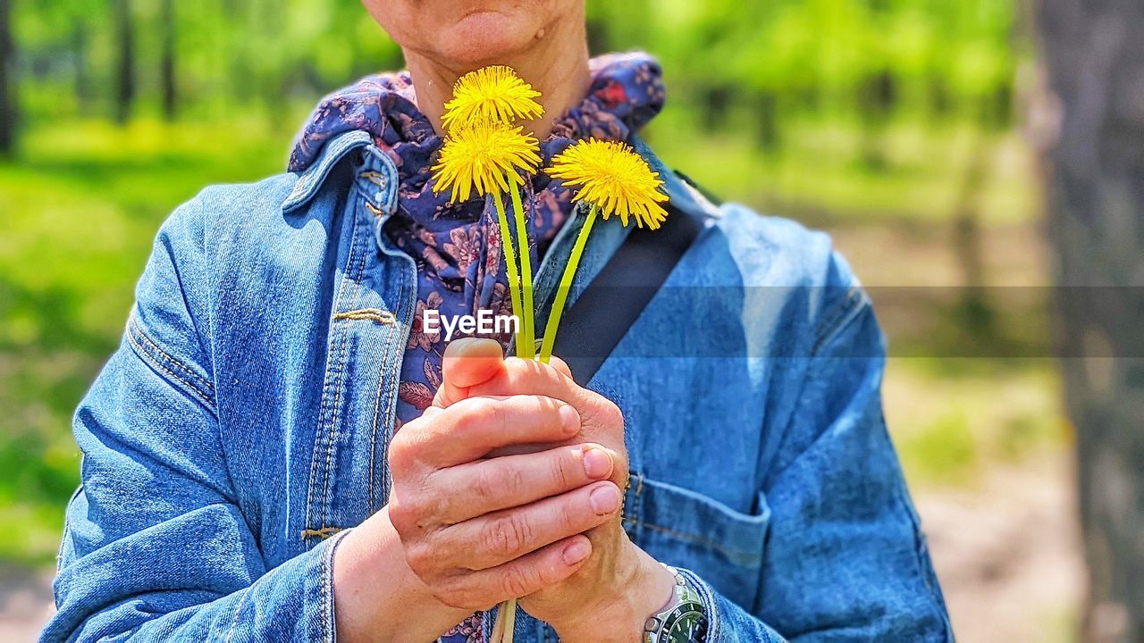 one person, holding, adult, nature, plant, men, hand, flower, lifestyles, front view, outdoors, focus on foreground, leisure activity, flowering plant, yellow, person, day, emotion, rural scene, spring, clothing, blue, casual clothing