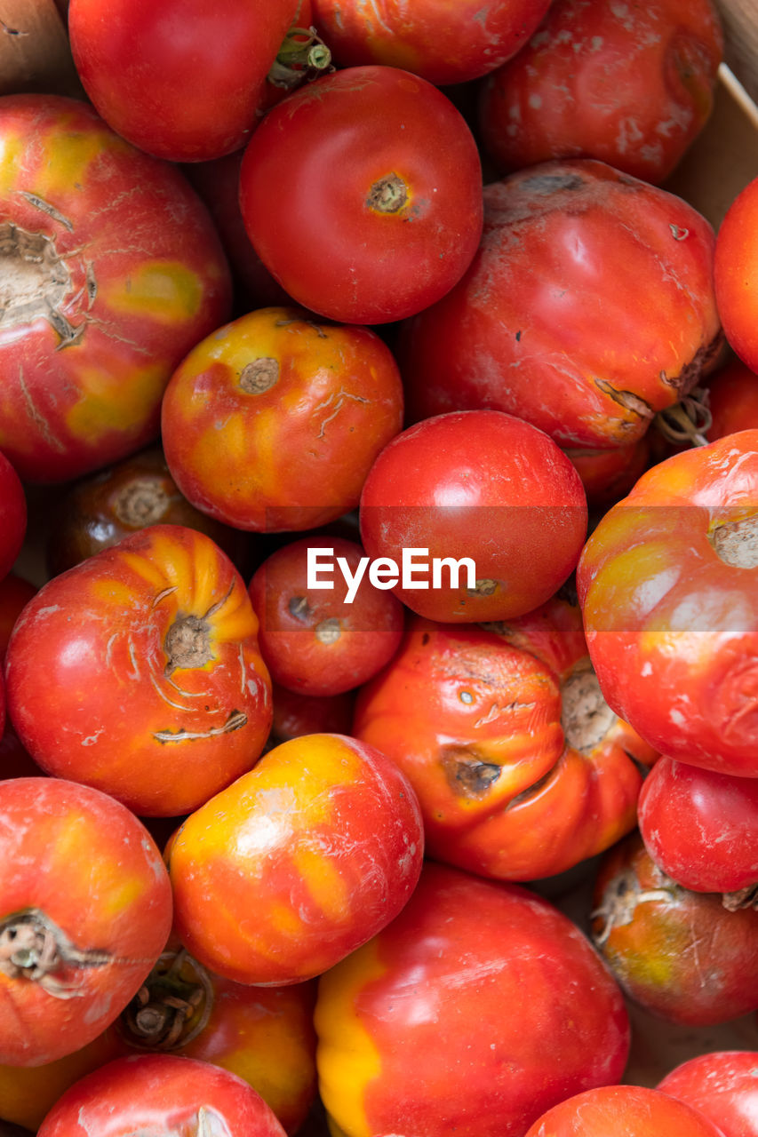 Red tomatoes in the market