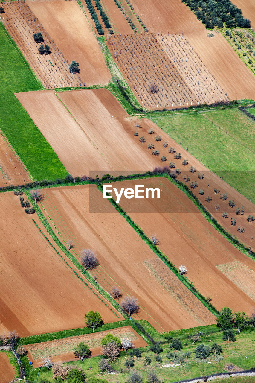 Aerial view of fertile fields in zadar region near adriatic coast