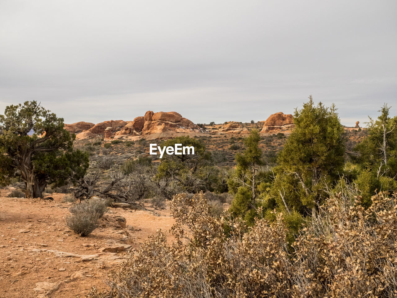 Scenic view of desert against sky