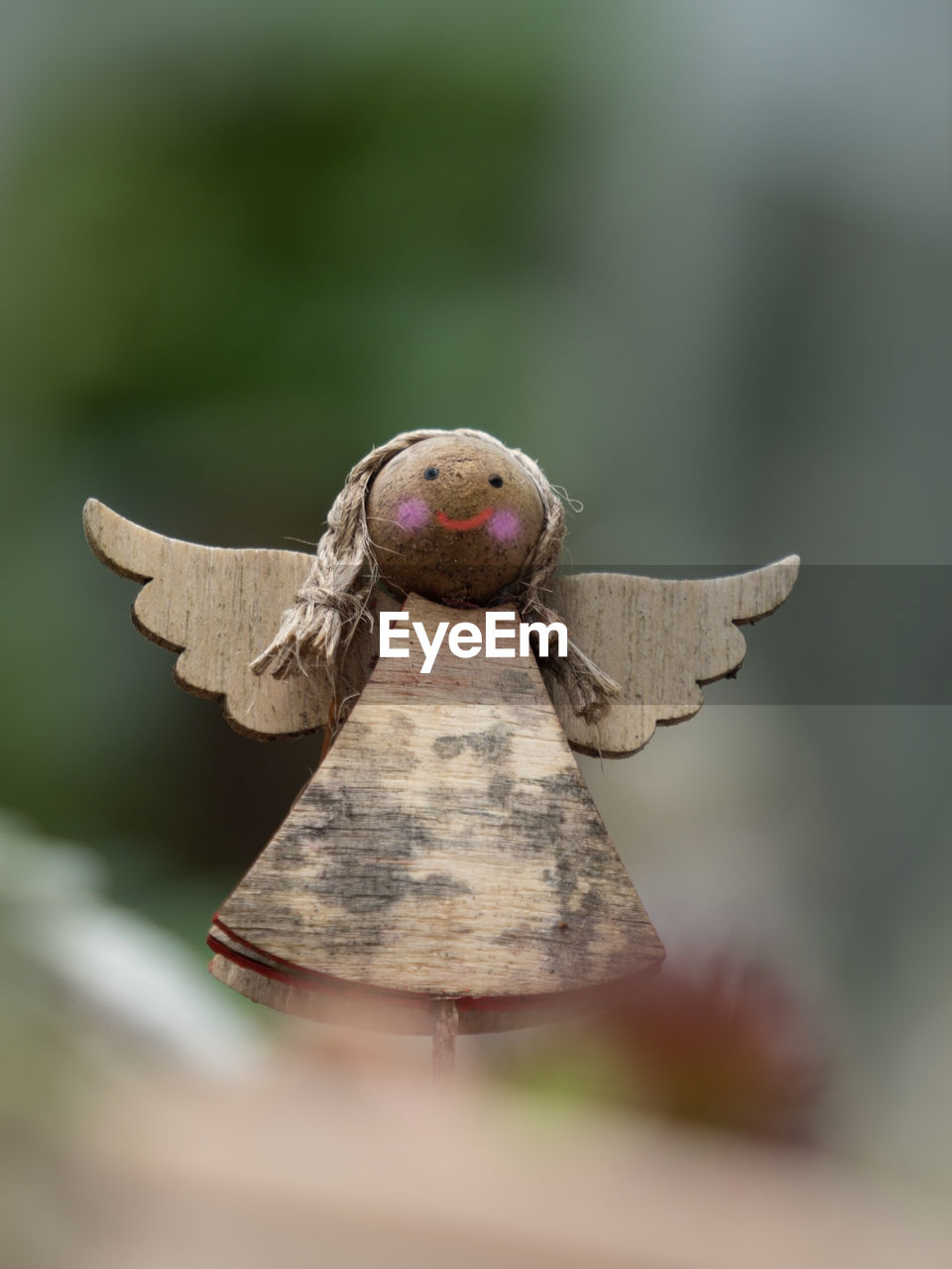 CLOSE-UP OF A LIZARD ON WOOD