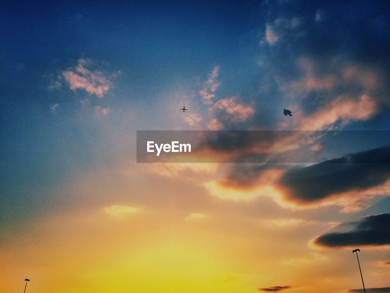 LOW ANGLE VIEW OF BIRDS FLYING AGAINST SKY AT SUNSET